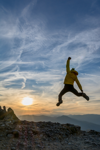 Homeopathy Arnica landscape