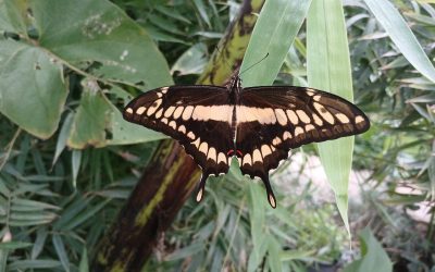 A Journey of Empowerment